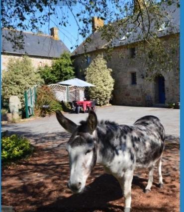 Vila La Campagne Bretonne Parigné Exteriér fotografie